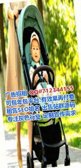 邕宁借腹生子电子商务有限公司